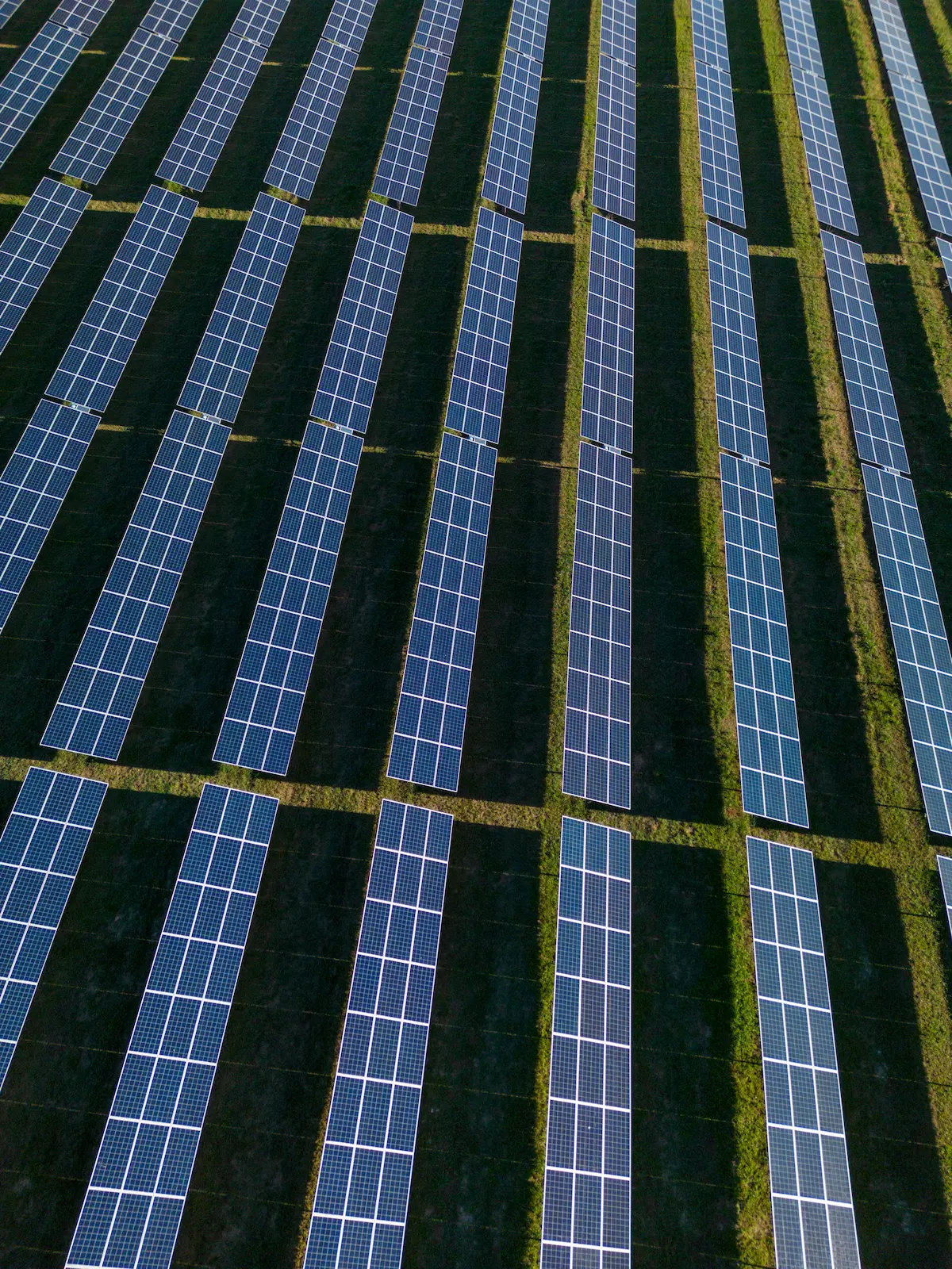 Aociación Agrovoltaica Española – Objetivos estratégicos Aociación Agrovoltaica Española - Objetivos estratégicos